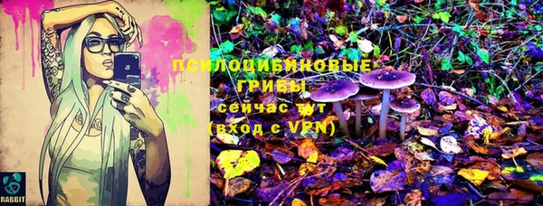 винт Краснослободск