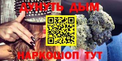 индика Гатчина