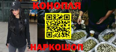 индика Гатчина