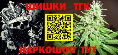 индика Гатчина