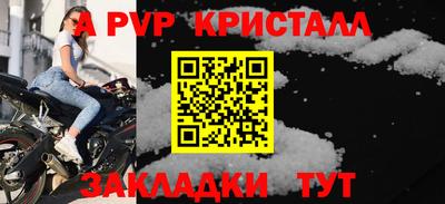 индика Гатчина