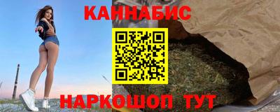 индика Гатчина