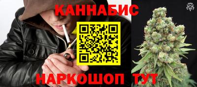 индика Гатчина