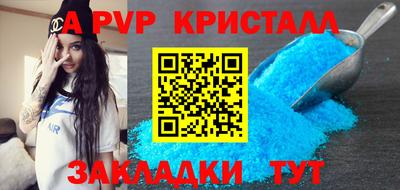 индика Гатчина