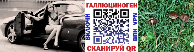 как найти закладки  Нижний Новгород  Псилоцибиновые грибы Psilocybine cubensis 