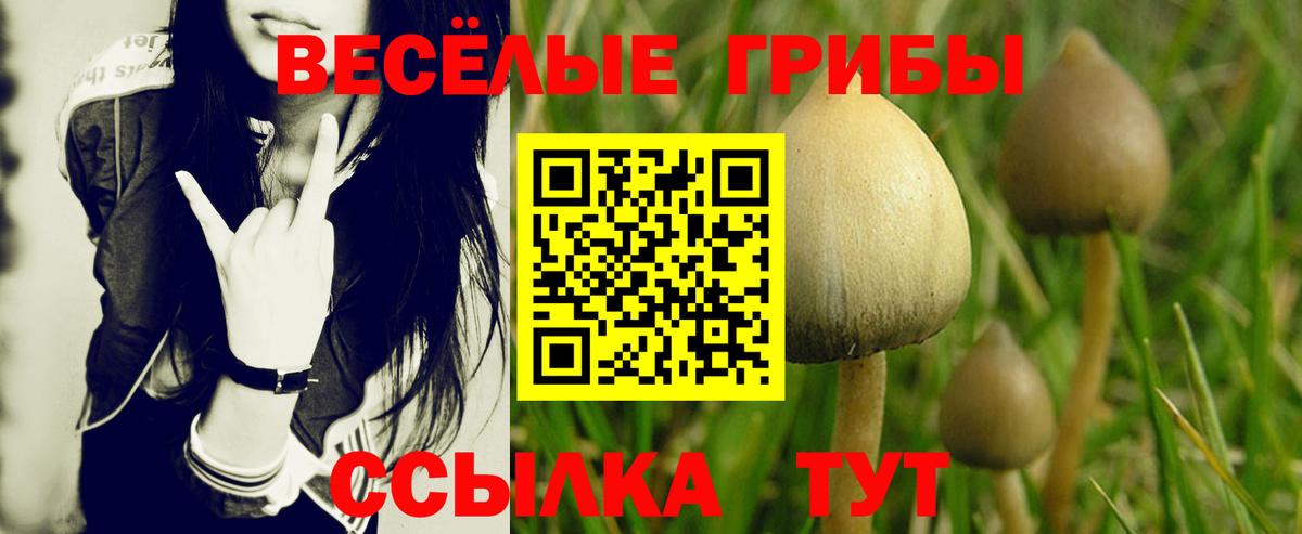 Галлюциногенные грибы Magic Shrooms Нижний Новгород